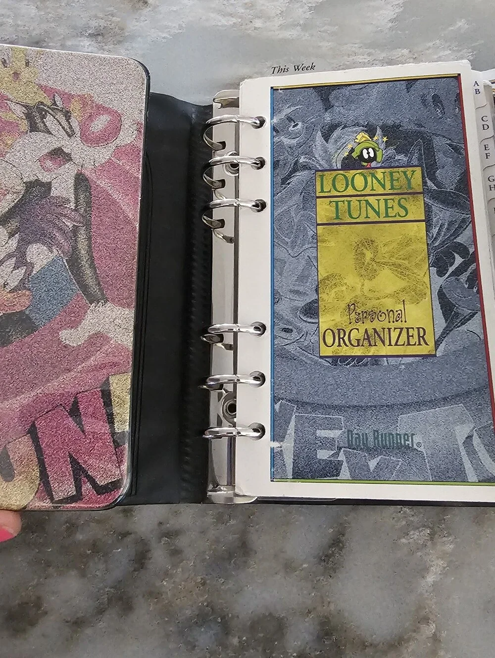 Vintage 1995 Looney Tunes Day Runner Personal Organizer Planner 6-Ring Binder